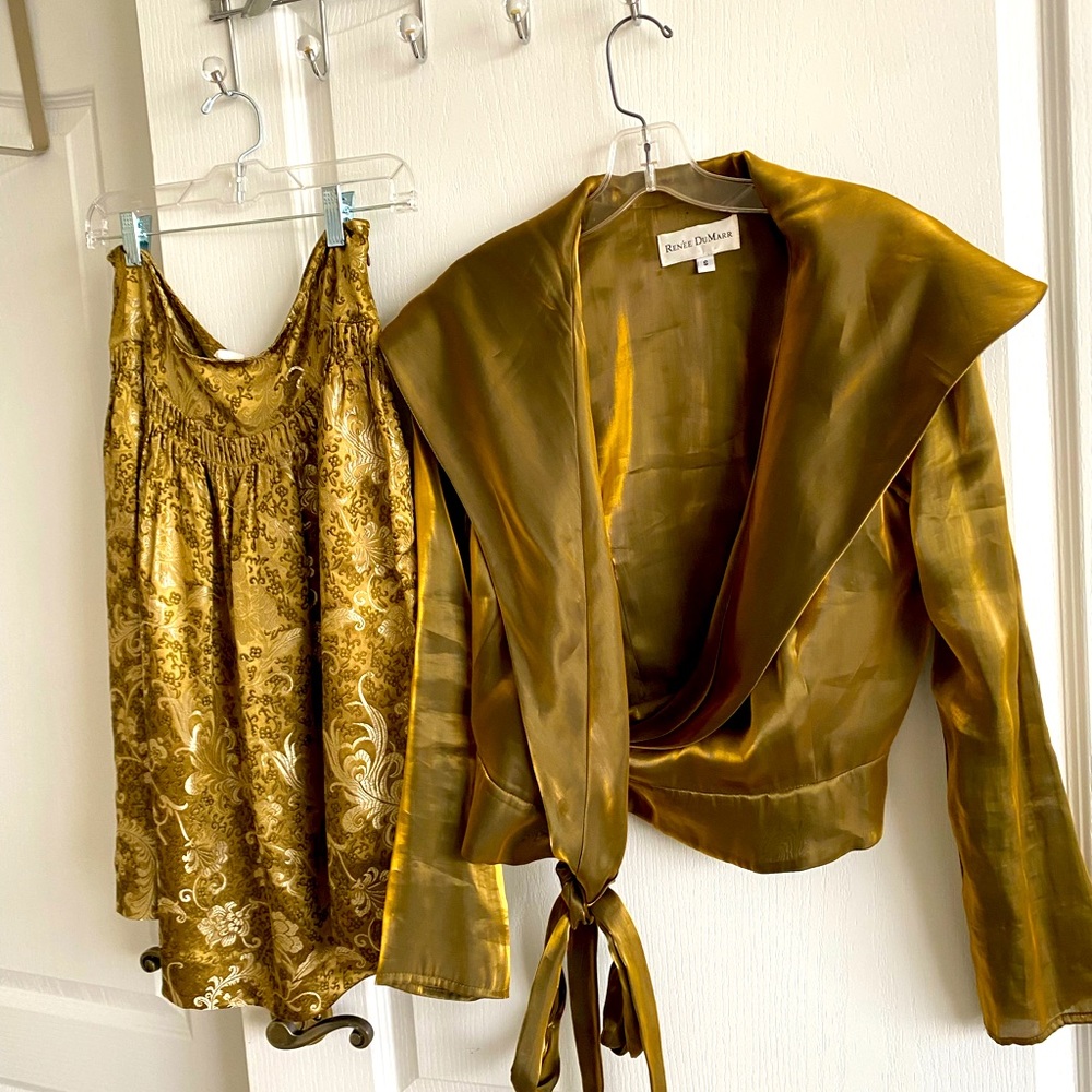 Beautiful shimmery blouse and skirt by Renee Dumar snak